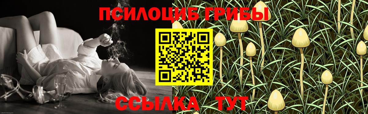 Псилоцибиновые грибы мухоморы Медногорск