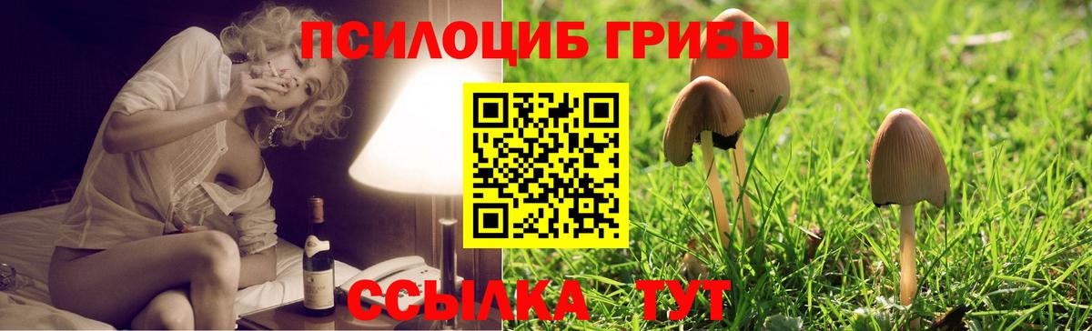 Галлюциногенные грибы MAGIC MUSHROOMS  Вход с VPN  Медногорск 